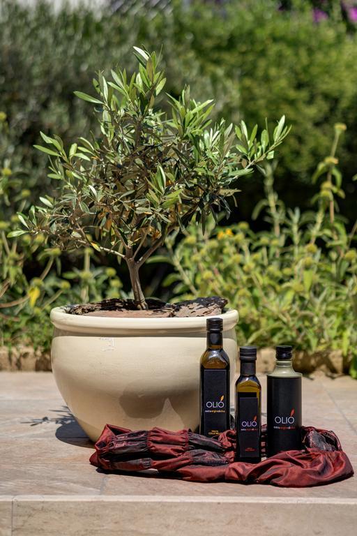 Appia Antica Resort Rome Luaran gambar